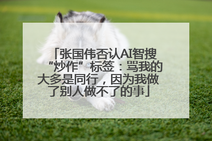 张国伟否认AI智搜“炒作”标签：骂我的大多是同行，因为我做了别人做不了的事