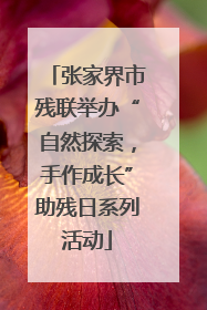 张家界市残联举办“自然探索，手作成长”助残日系列活动