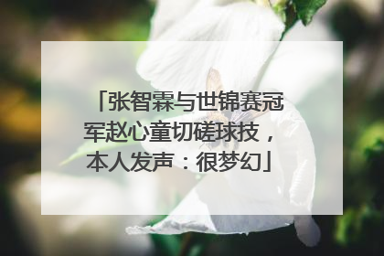 张智霖与世锦赛冠军赵心童切磋球技，本人发声：很梦幻