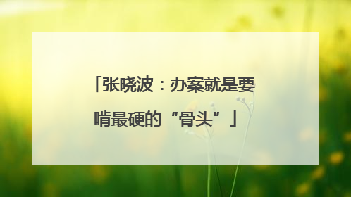 张晓波：办案就是要啃最硬的“骨头”