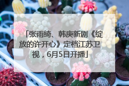 张雨绮、韩庚新剧《绽放的许开心》定档江苏卫视，6月5日开播
