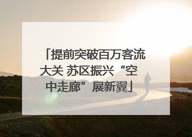 提前突破百万客流大关 苏区振兴“空中走廊”展新翼
