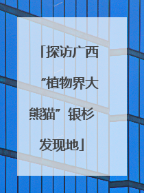 探访广西“植物界大熊猫”银杉发现地