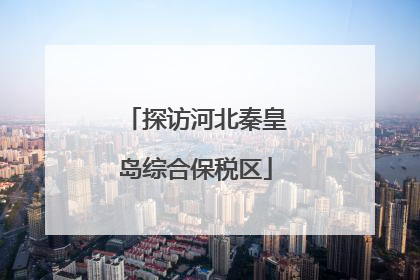 探访河北秦皇岛综合保税区