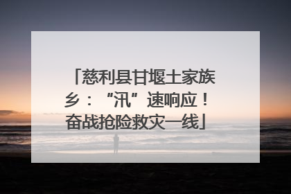 慈利县甘堰土家族乡：“汛”速响应！奋战抢险救灾一线