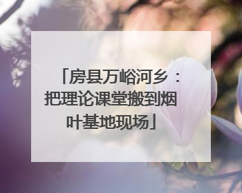 房县万峪河乡：把理论课堂搬到烟叶基地现场