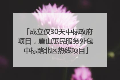 成立仅30天中标政府项目，唐山惠民服务外包中标路北区热线项目