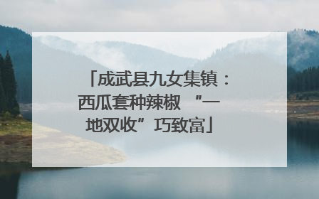 成武县九女集镇：西瓜套种辣椒 “一地双收”巧致富