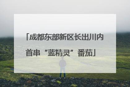 成都东部新区长出川内首串“蓝精灵”番茄