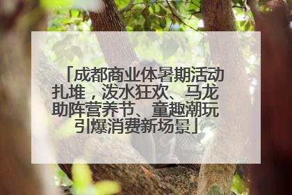 成都商业体暑期活动扎堆，泼水狂欢、马龙助阵营养节、童趣潮玩引爆消费新场景