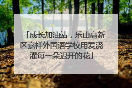 成长加油站，乐山高新区嘉祥外国语学校用爱浇灌每一朵迟开的花
