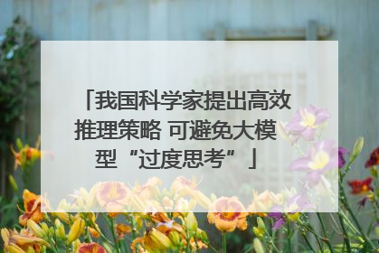 我国科学家提出高效推理策略 可避免大模型“过度思考”