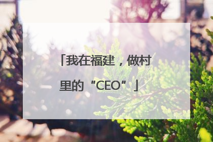 我在福建，做村里的“CEO”