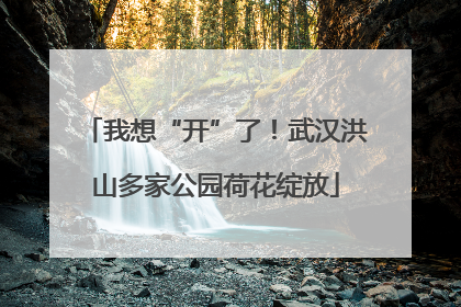 我想“开”了！武汉洪山多家公园荷花绽放
