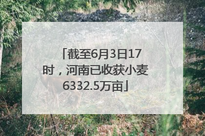 截至6月3日17时，河南已收获小麦6332.5万亩