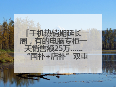 手机热销期延长一周，有的电脑专柜一天销售额25万……“国补+店补”双重优惠点燃德州“考后经济”