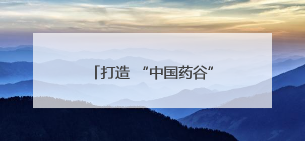 打造 “中国药谷”，驻马店市市长诚邀长三角高精尖企业入驻