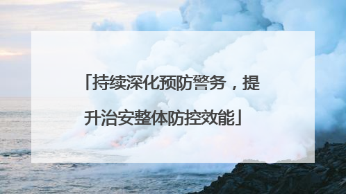 持续深化预防警务，提升治安整体防控效能