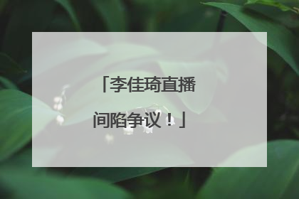李佳琦直播间陷争议！