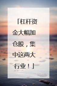 杠杆资金大幅加仓股，集中这两大行业！