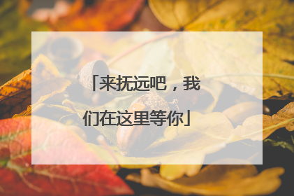 来抚远吧，我们在这里等你