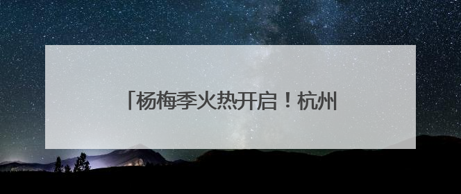 杨梅季火热开启！杭州地利果品市场守护从枝头到舌尖的每一口鲜甜