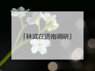 林武在济南调研