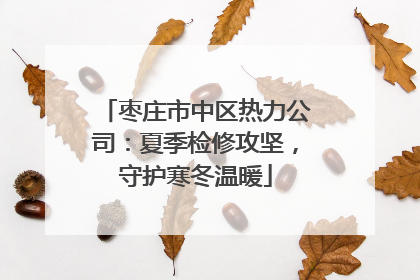 枣庄市中区热力公司：夏季检修攻坚，守护寒冬温暖