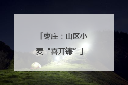 枣庄：山区小麦“喜开镰”