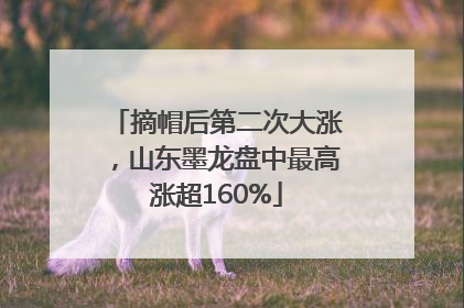 摘帽后第二次大涨，山东墨龙盘中最高涨超160%