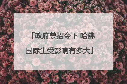 政府禁招令下 哈佛国际生受影响有多大