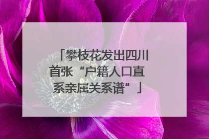 攀枝花发出四川首张“户籍人口直系亲属关系谱”