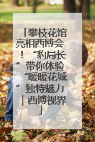 攀枝花馆亮相西博会！“豹局长”带你体验“暖暖花城”独特魅力｜西博视界