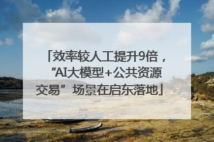 效率较人工提升9倍，“AI大模型+公共资源交易”场景在启东落地