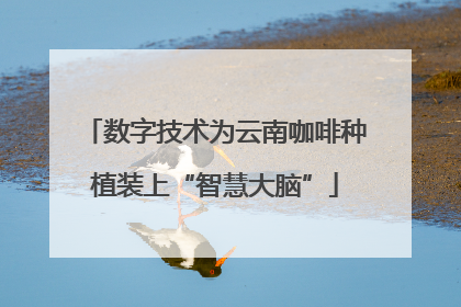 数字技术为云南咖啡种植装上“智慧大脑”