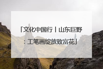 文化中国行丨山东巨野：工笔画绽放致富花