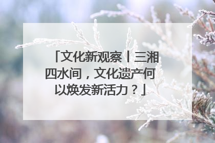 文化新观察丨三湘四水间，文化遗产何以焕发新活力？