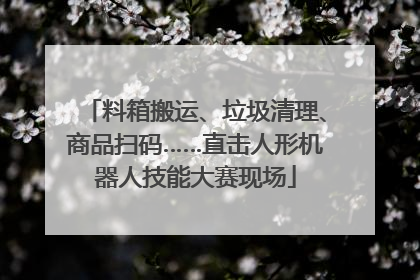 料箱搬运、垃圾清理、商品扫码……直击人形机器人技能大赛现场