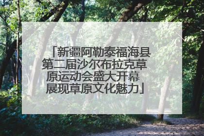 新疆阿勒泰福海县第二届沙尔布拉克草原运动会盛大开幕 展现草原文化魅力