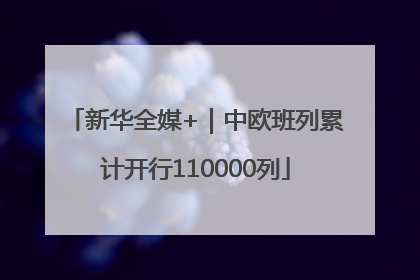 新华全媒+｜中欧班列累计开行110000列