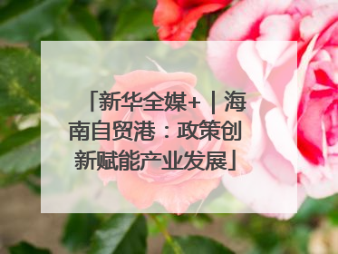 新华全媒+｜海南自贸港：政策创新赋能产业发展
