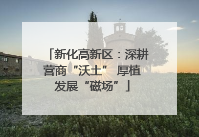 新化高新区：深耕营商“沃土” 厚植发展“磁场”
