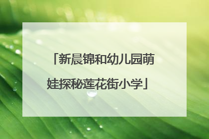 新晨锦和幼儿园萌娃探秘莲花街小学