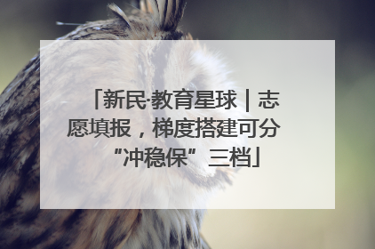 新民·教育星球｜志愿填报，梯度搭建可分“冲稳保”三档