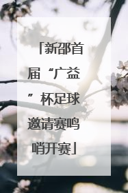 新邵首届“广益”杯足球邀请赛鸣哨开赛