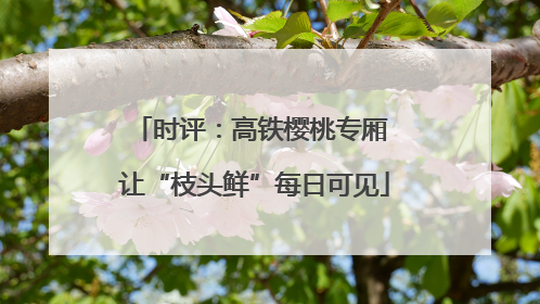 时评：高铁樱桃专厢 让“枝头鲜”每日可见