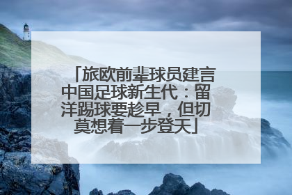 旅欧前辈球员建言中国足球新生代：留洋踢球要趁早，但切莫想着一步登天