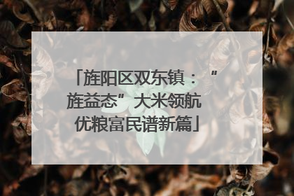 旌阳区双东镇：“旌益态”大米领航 优粮富民谱新篇