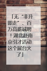 无“非升即走”、百万高薪诚聘！湖北赴南京引才活动这个展台火了