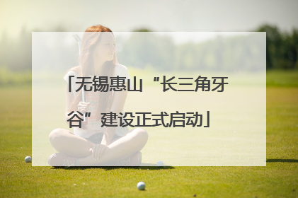 无锡惠山“长三角牙谷”建设正式启动